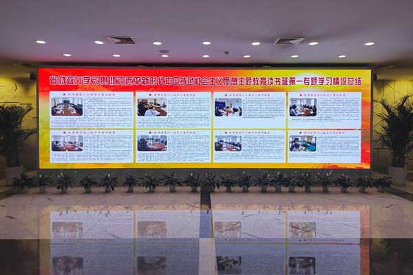 國內(nèi)有哪些COB顯示屏廠家做得比較好的？